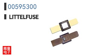 00595300