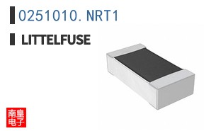 0251010.NRT1