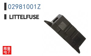 02981001Z