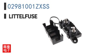 02981001ZXSS