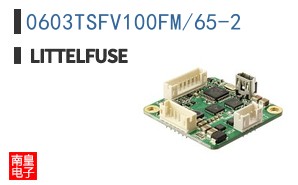 0603TSFV100FM/65-2