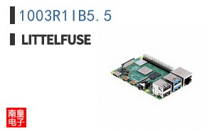 1003R1IB5.5