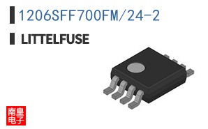 1206SFF700FM/24-2
