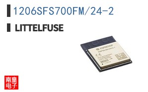1206SFS700FM/24-2