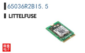 65036R2BI5.5