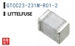 GTCC23-231M-R01-2