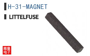 H-31-MAGNET