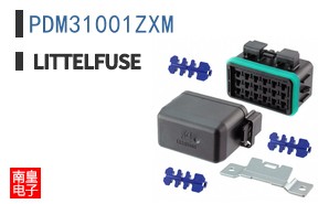 PDM31001ZXM