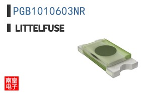 PGB1010603NR