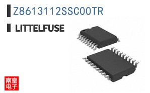Z8613112SSC00TR